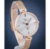 Watch Pierre Ricaud P22108.91R3Q
