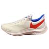 Air Zoom Winflo 6 'Белый Синий Красный' DM2419-161