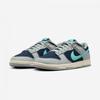 Nike Dunk Low Retro Premium Fb8895 001
