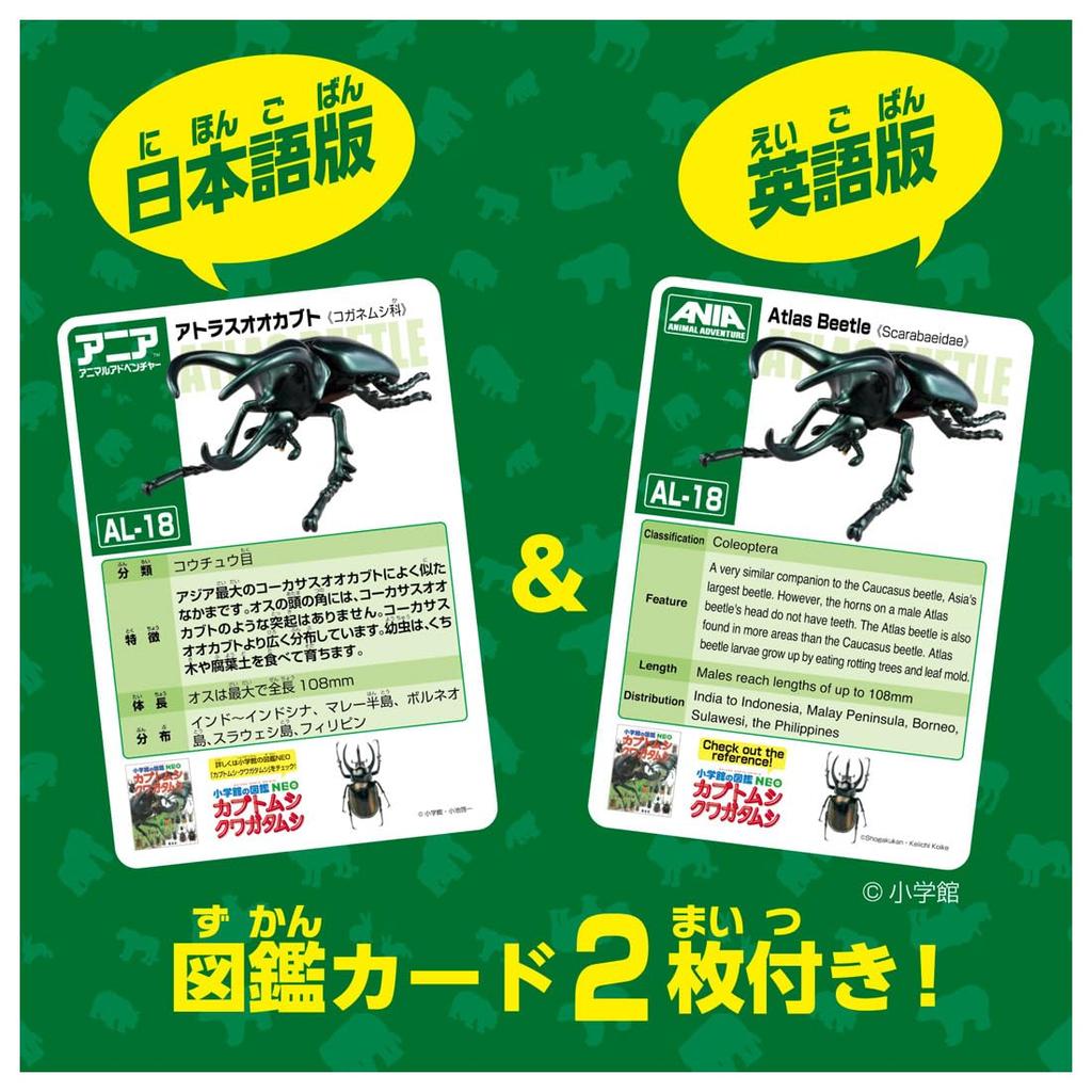 TAKARA TOMY Ania AL-18 Atlas Beetle Animal Dinosaur Toy
