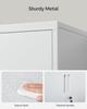 SONGMICS File, Multipurpose Garage, Office with 2 Doors, Lockable, Steel Storage, Deep Storage with Shelves, for Study, Living Room, Gray