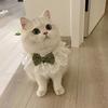 Beautiful Cat Lace Bows Collar Silks Satins/Pearl Dog Pearl Bows Necklace  Photograph