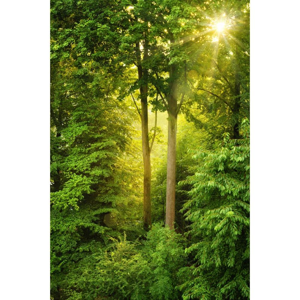 Spring Natural Scenery Forest Photography Backdrop Tropical Jungle Green Forest Tree Adventure Baby Portrait Photo Background
