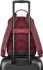 Moleskine Backpack 13-inch Laptop Compartment Business Backpack Classic Small Backpack New Model Men's ET24C2BKSF18 Raspberry Red ONE SIZE