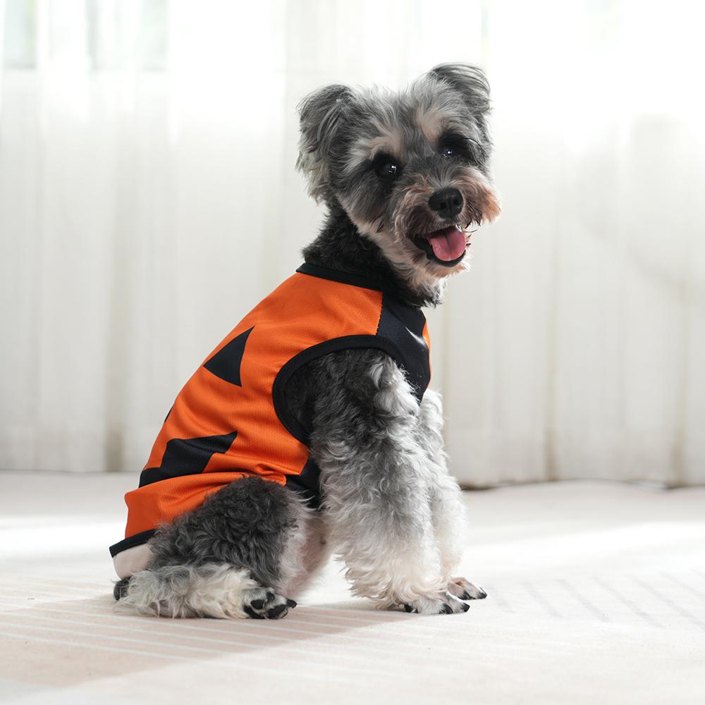 Жилет для домашних собак, одежда на Хэллоуин для маленьких собак, костюм для кошек, мягкая дышащая рубашка для щенка, котенка, милый шнауцер, мопс, одежда, наряды