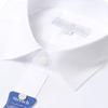 Countess Mara Wrinkle Free Stretch Semi Wide Shirt Cdhw2b5361ao