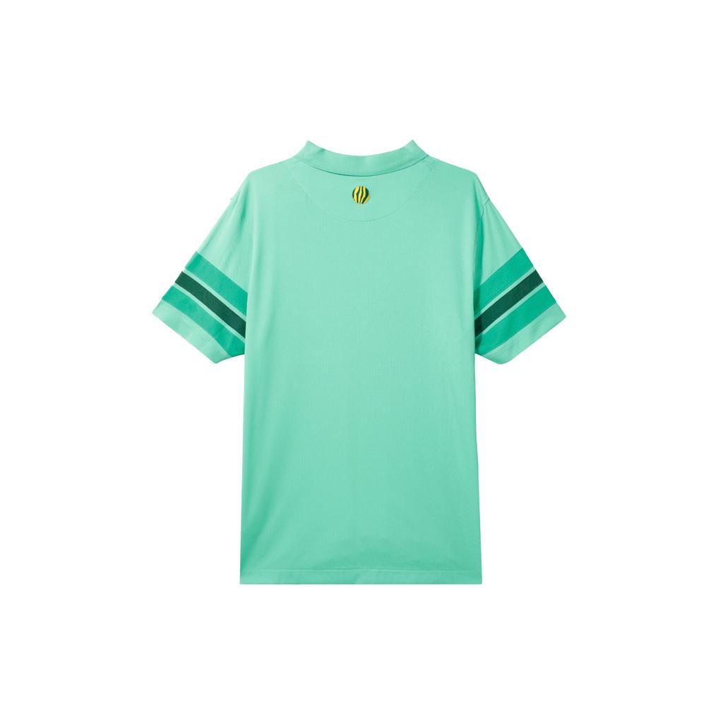 Nike Двухцветная рубашка поло с короткими рукавами и вышитым логотипом Dri-Fit, мужские топы, зеленый DX9217-363