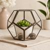 Glass Terrarium, Large Octagon