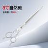 Stainless Steel Pet Grooming Scissors Dogs - Curved Tip Thinning Shears Poodle Clipper Straight Bent Styles 8 Inch