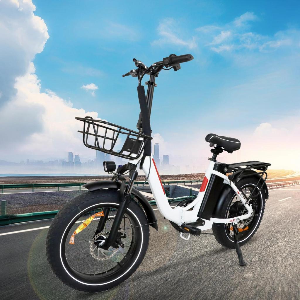 SAMEBIKE DZ2030 800W Electric Bike, 48V 16Ah Removable Lithium Battery, 20" x 4.0 Fat Tire Delivery E-Bike for Adults