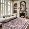 Soft Vintage Accent Rugs Distressed Print Area Rug Low Pile Carpet for Living Room Bedroom Home Decor