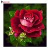 Huacan Rose Patterns Алмазная вышивка Цветок Полная квадратная мозаика Алмазная картина Вышивка крестом