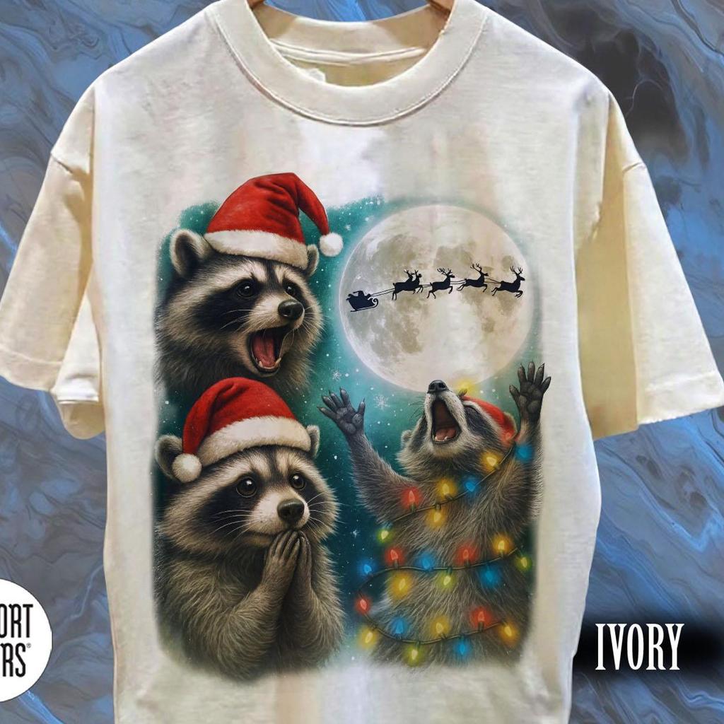 Raccoon Christmas Comfort Colors T-Shirt, Santa Meme Tee