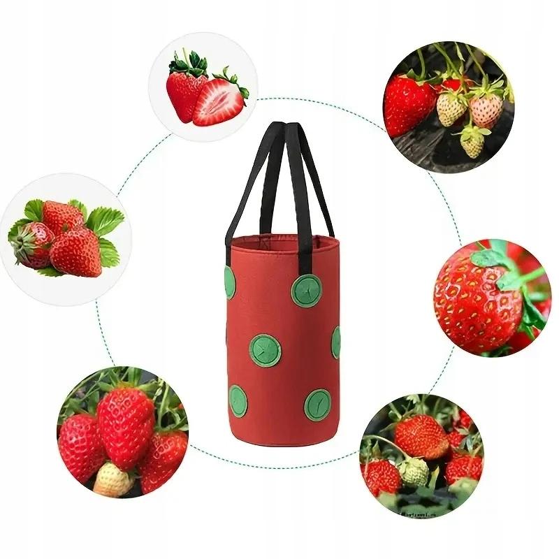 Hanging Flowerpot Bag Tomatoes Vegetables Strawberries Strawberries Pockets 35Cm