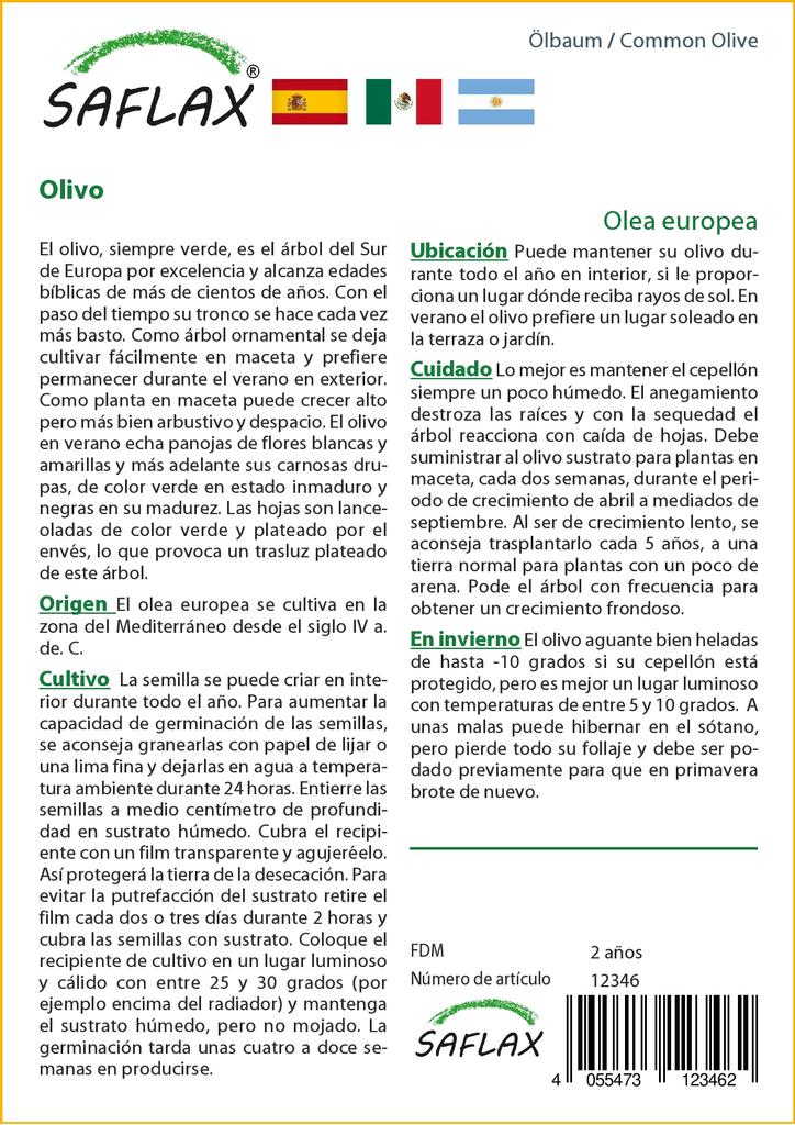 SAFLAX Олива обыкновенная - 20 семян - Olea europea