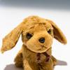Bamboo Shoot Candy Fontaine Mini Dachshund Brown Plush Toy 48226