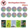 40Pcs Balcony Pigeon Repeller Flash Bird Scare Protection Reflectors Reflective Sticker Anti Bird