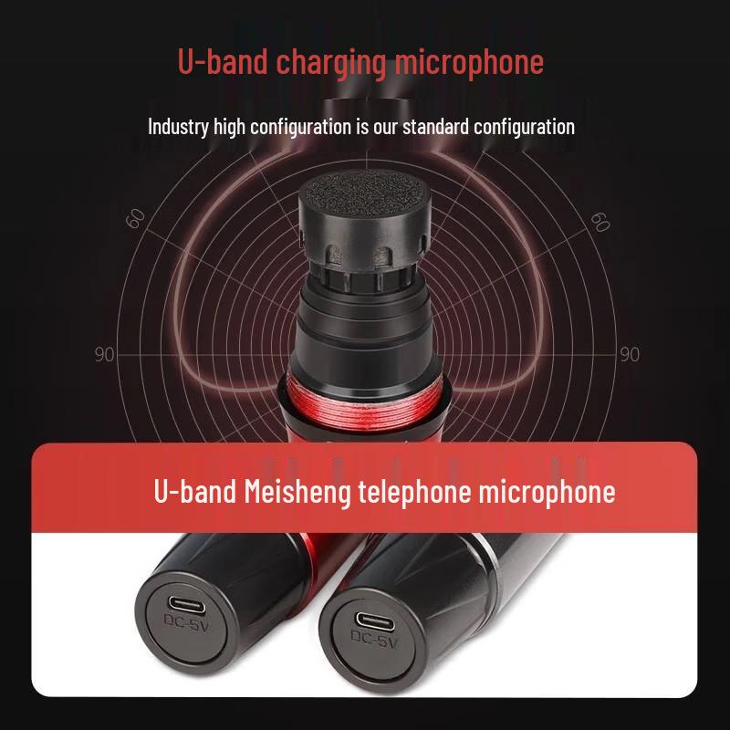 SANSUI E2plus 2-го поколения Портативная система караоке CN-вилка (адаптер в комплекте) (Китайская версия)