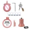 FRKO Simulation Clitora Sissy Flat Inverted Chastity Cage Kit ABS Resin Pussy Worship 4 Penis Lock Rings Invisible Wear Sex Toys