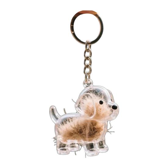 Мемориальный брелок для шерсти питомца, Бутылочка для хранения шерсти питомца, Прозрачная синтетическая смола, Гравированная баночка для памяти о питомце