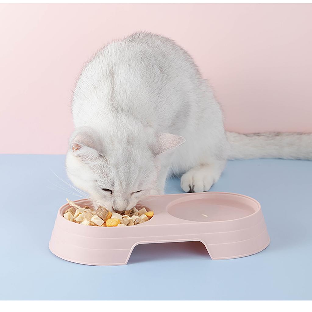 Pet Double Bowl Concise Candy Color One Bowl Purpose Pet Bowl