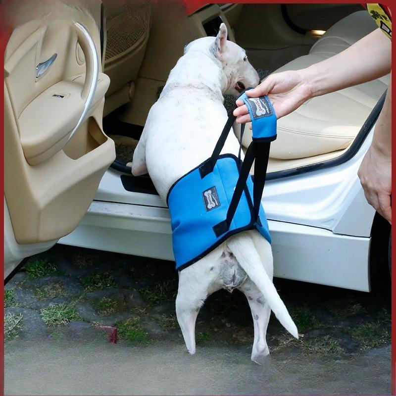 Dog Hind Leg Auxiliary Sling Adjustable Support Harness for Old Injured Dogs Help Walking Up Stairs and Vehicle
