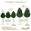 A&K Premium Preserved Sakaki Tree [SS Size  1 Pair  Approx. 23cm Tall x 10cm Wide] Made with Premium Tanba Camellia Leaves, Miniature Artificial