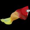 1Pc Long Gradient Color Dancer Practice Imitation Silk 150cm Length Dance Props Belly Dancing Fan