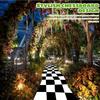 VIKAMA Fairyland Runner Carpet - Black and White Checkered Outdoor Wedding Birthday Party Decorative Carpet