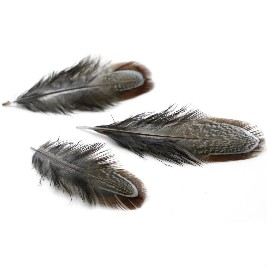 50 шт. 4-8 см редкие драгоценные DIY свадебные вечерние декоративные разноцветные перья фазана натуральные перья для украшения дома