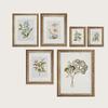 Ретро настенный художественный постер и принты, винтажный ботанический античный цветочный скандинавский холст, картина для гостиной, украшение дома, картина