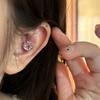 Women's High-End Plain Hoop Earrings: Light Luxury Ear Drops & Studs, Niche Design for Autumn/Winter.