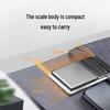 Meilen DS-29 0.01g High Precision Portable Jewelry Scale (CN version)