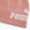 Puma Ess No 1 Logo Jr Pink Kids Winter Hat 02569702