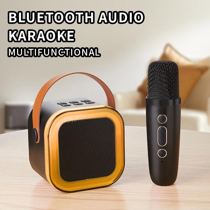 K12 Bluetooth 5.3 Portable Karaoke Speaker & Wireless Microphone for KTV and Family Singing Sessions
