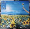 LP Пластинка STONE TEMPLE PILOTS - Thank You RCVI83586 Rhino Records 2023 США Рок