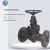 Small Diameter A105 Forged Steel Globe Gate Valve DN50 Butt Weld Flange