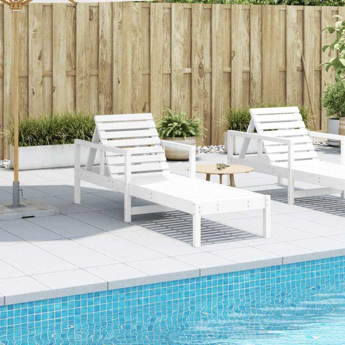 VidaXL Chaise Longue, Transat avec Dossiers Réglables et Accourdoirs, Bain de Soleil Jardin Piscine Terrasse Extérieur, 832539