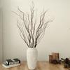 Natural Dried Curly Willow Branches 60-120cm 10-Piece Bundles for Window Displays Wedding Arches and Nest Crafts