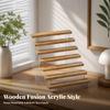 Stepped Desktop Display Rack Modern for Blind Box Enthusiasts