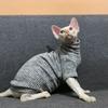 Кошки – Одежда для кошек