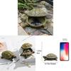 Turtle Resin Storage Box With Modern Minimalist Design For Living Room Decor