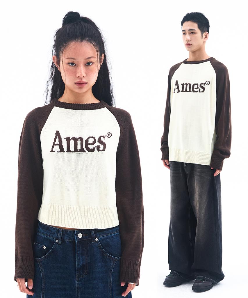 AMES-WORLDWIDE Basic Raglan Pullover Knit Brown