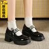 2025 Autumn New Retro Korean Skirt Platform Mary Jane Shoes Women's French Pearl Sweet Thick Heel Small Leather Shoes