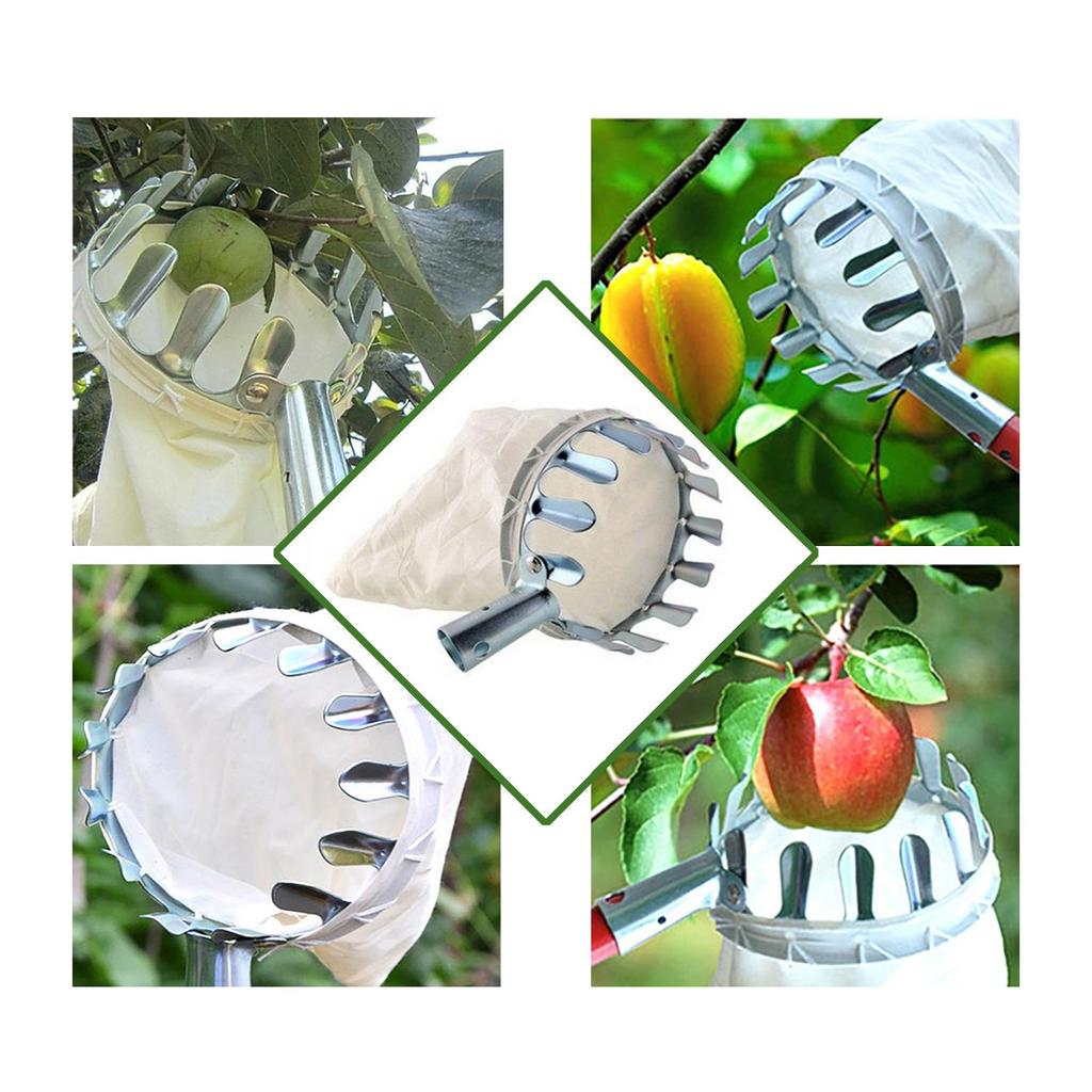 Металлический сбор фруктов, сбор фруктов, портативный садовый инструмент для сбора фруктов