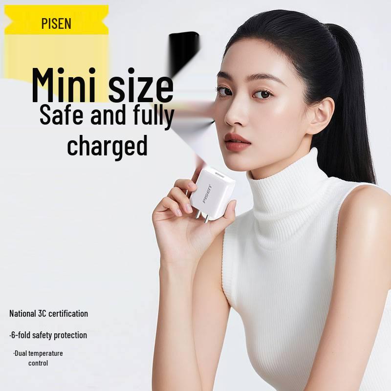 PISEN 10 Вт USB-зарядное устройство для Apple Earbuds и Power Banks, выход 5 В/1 А/2 А