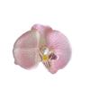 Thai Style Orchid Flower Hairpin Sweet Women Side Clip Butterfly Orchid Hair Clip  Beach