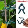 20pcs Adjustable Garden Plant Support Clips In 2 Sizes - Durable Black Plastic with Green Grip for Flowers, Vines, Vegetables & Tomatoes