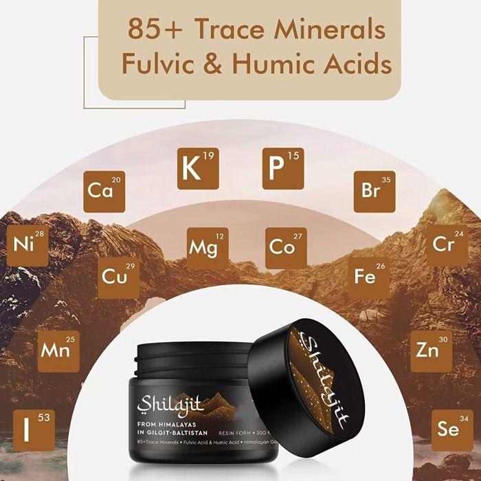 Shilajit Résine - Supplément Naturel Himalaya - Pureté Premium - 30g