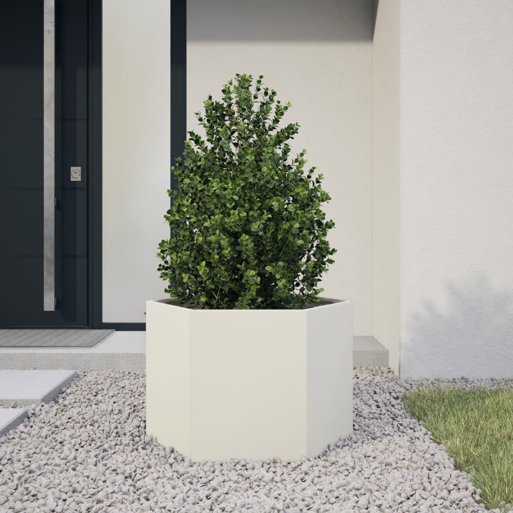 White Hexagonal Planter